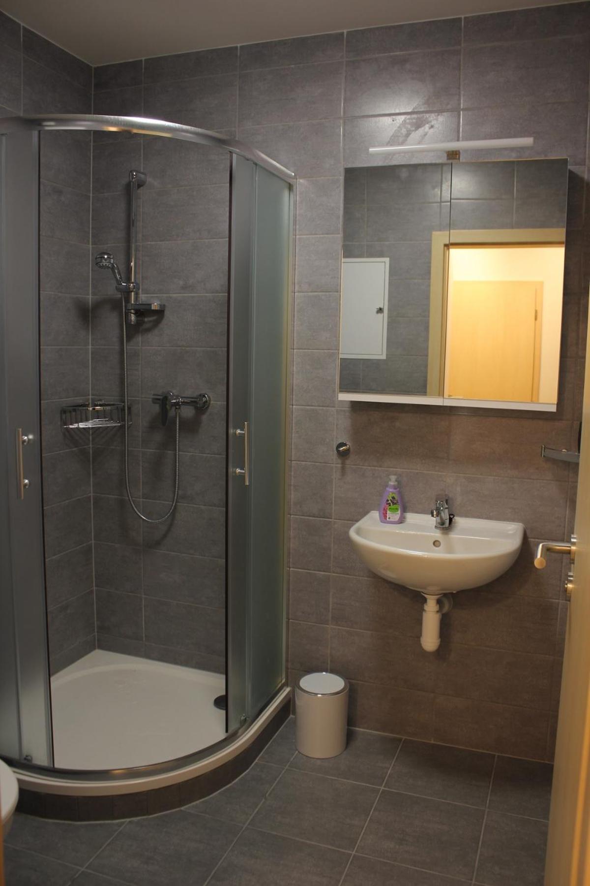 Skrovanova Apartment Horni Lipova
